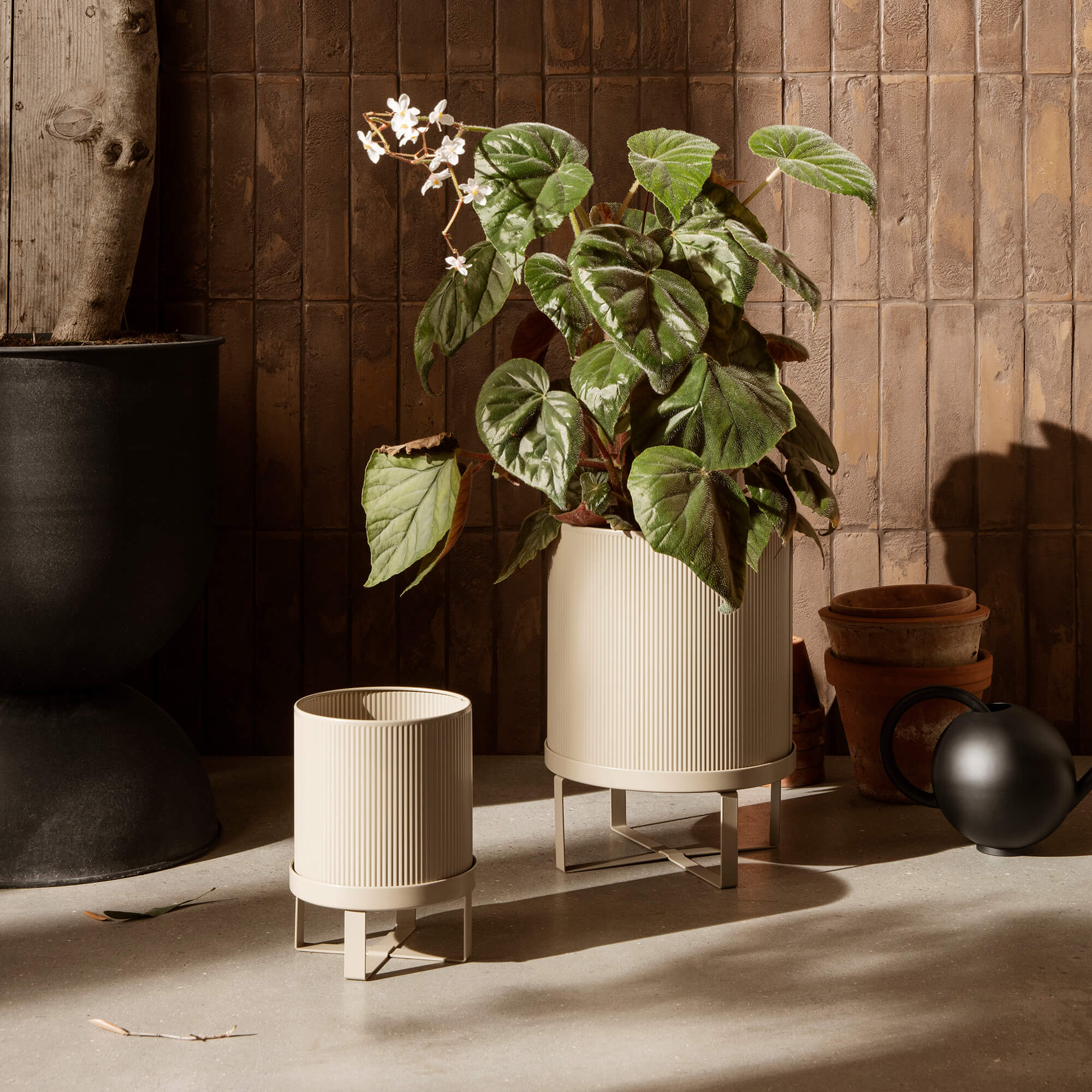 Bau Planter 6 Bau Planter