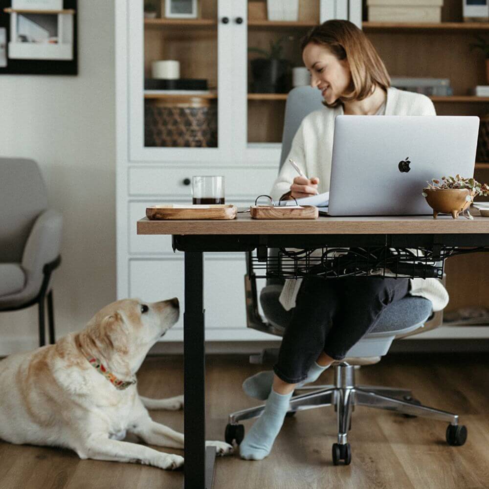 Upside Sit-to-Stand Desk Base 4 Upside Sit-to-Stand Desk Base