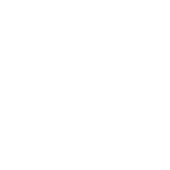 icon1 1