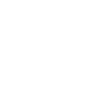 icon2 1